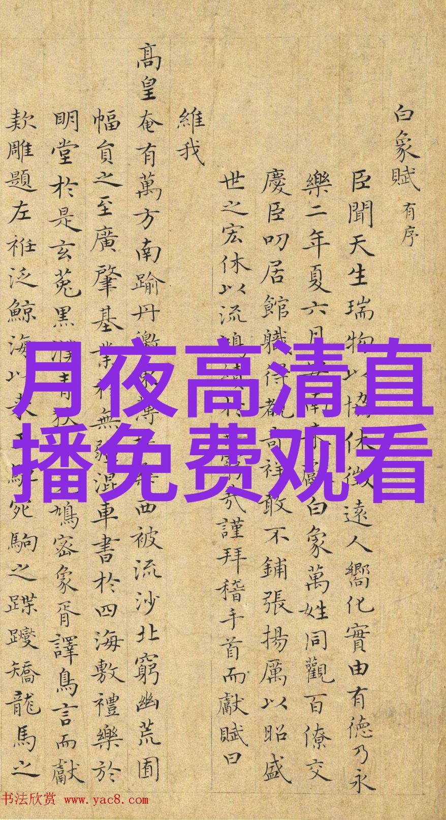 银河娱乐我在银河的那些冒险从零到英雄的奇幻旅程