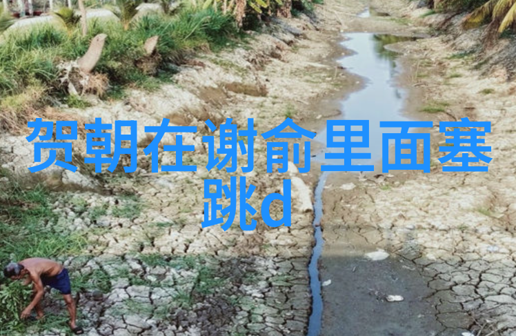 影视森林我在这里的奇幻冒险追逐梦想的故事