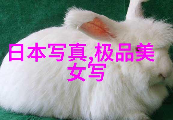 韩国综艺情书的心理效应对青少年有何影响需要注意些什么问题吗