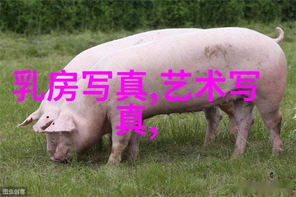 解锁天地之秘密揭秘八卦图的神奇力量与未知面纱