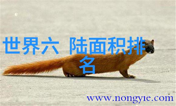 音乐爱好者福利无限免费流畅体验