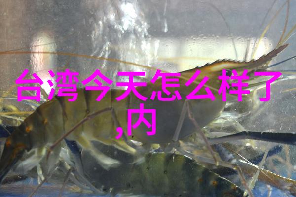 美女写真图片-光影中的艳丽探索美女写真图片背后的艺术与魅力