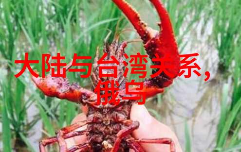 奇米影视-探秘奇米影视揭开网络电影天堂的神秘面纱