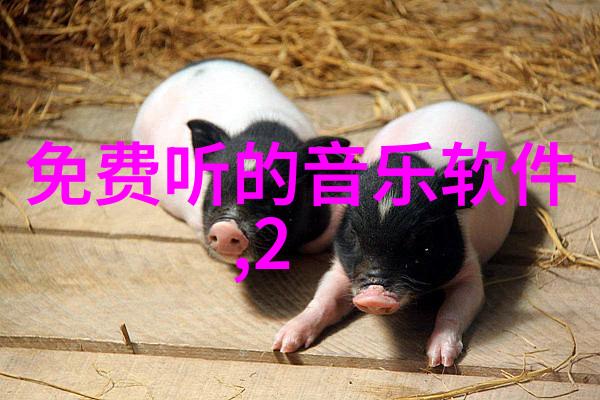 大师兄影视我是如何在逆袭之路中发现真实的电影制作秘诀的