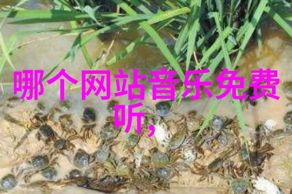 未来的大陆诞生与融合的新纪元