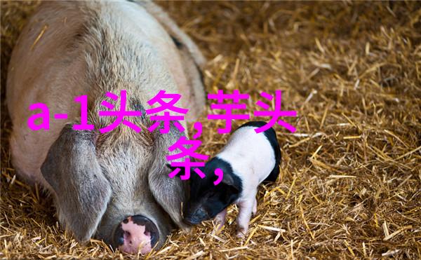 可爱情侣头像2022年新款反差风格