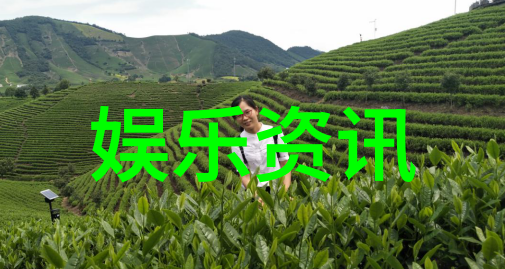 台湾佬中文娱乐网我是怎么在网上找到了台湾最新的偶像剧和流行歌曲