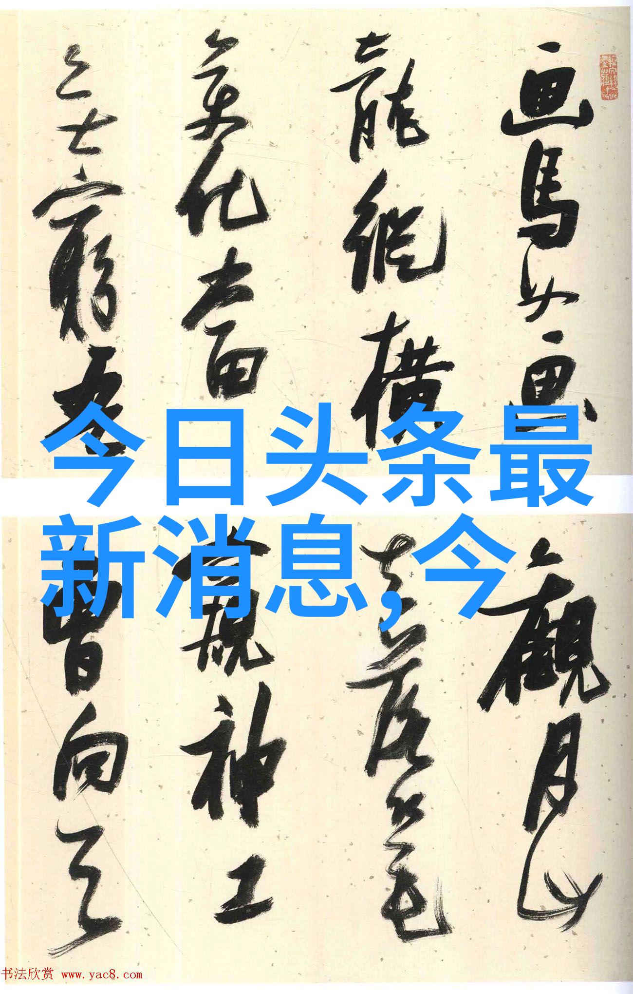 今日头条手机应用下载安装指南
