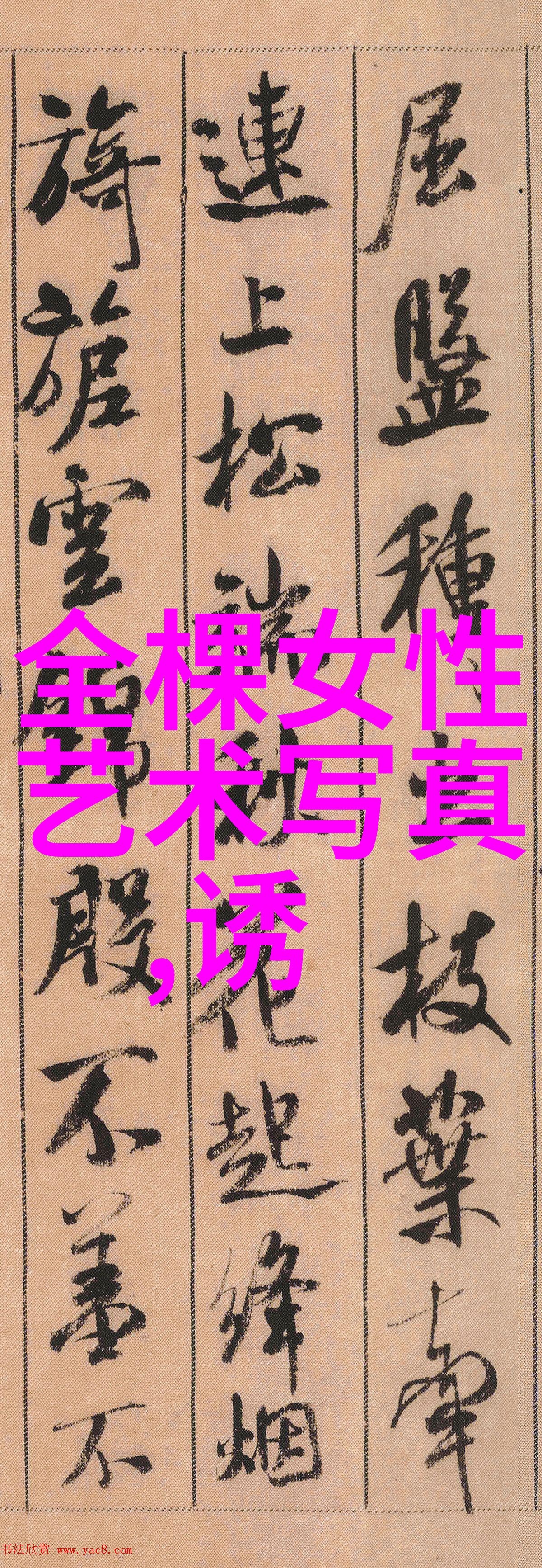 许嵩新歌奇谈歌词介绍免费听歌软件不用VIP体验社交圈的音乐魅力