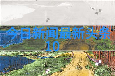 旱路上的紫影