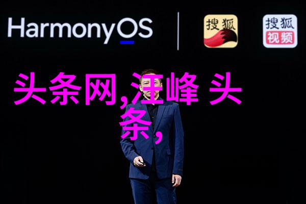那英宣布退出娱乐圈了粉丝情绪激动多层次
