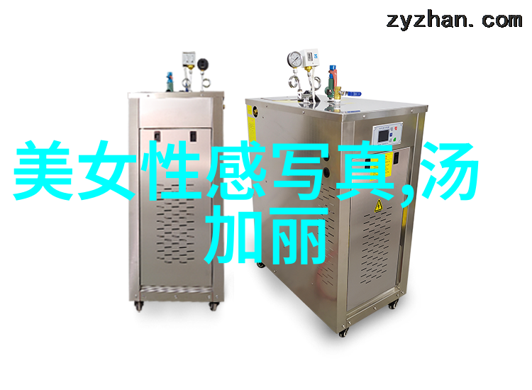 照片中的不朽 beauty 写真的艺术探索
