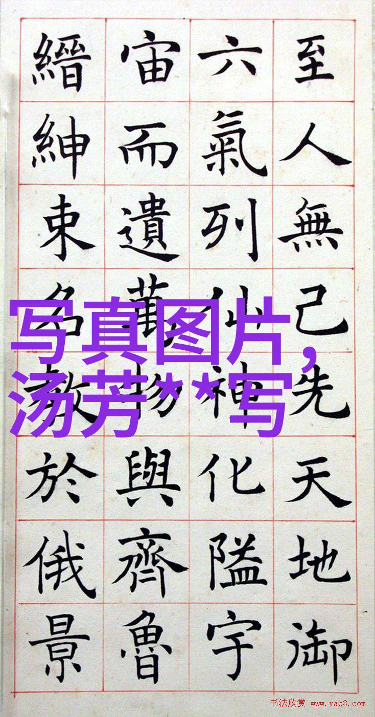 时髦而温馨家居休闲用途的舒适款式羽绒服选购指南