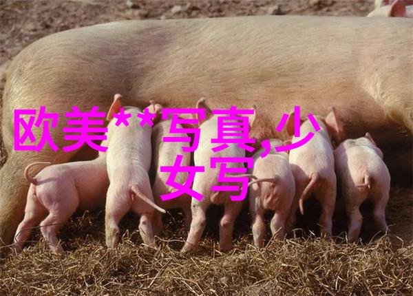 美女写真研究审美意识与文化表达的交融