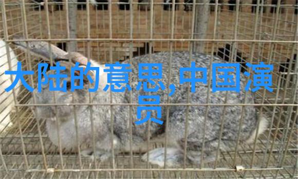 光影下的妖娆探索美女写真的艺术魅力