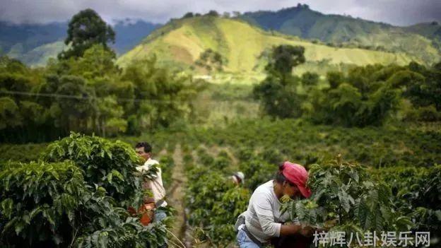 天堂影视影响观众情感的电影制作