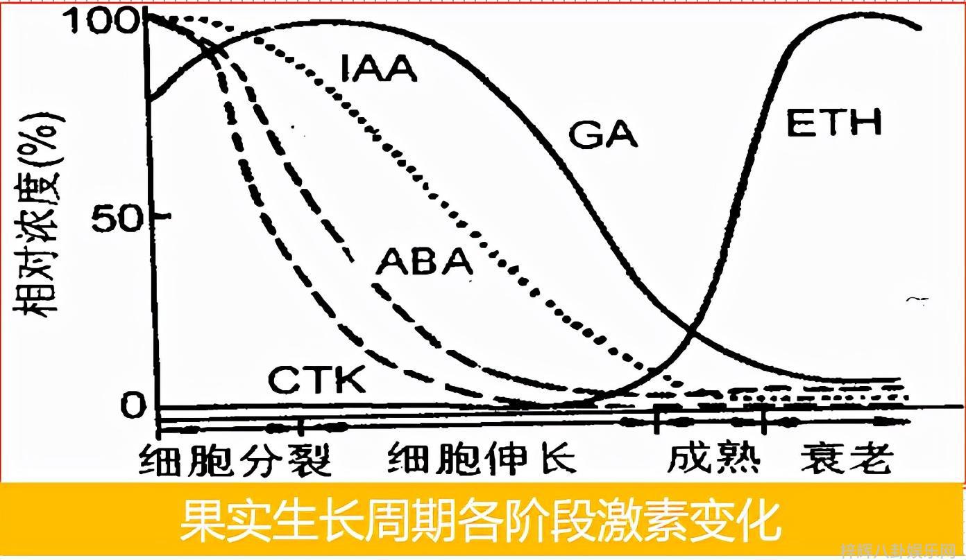 韩国和日本音乐风格有哪些差异
